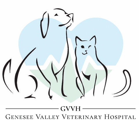 Genesee Valley Veterinary Hospital